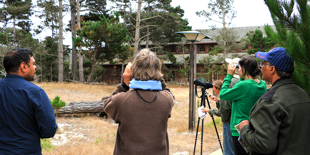 Asilomar Bird Watching Group Tour